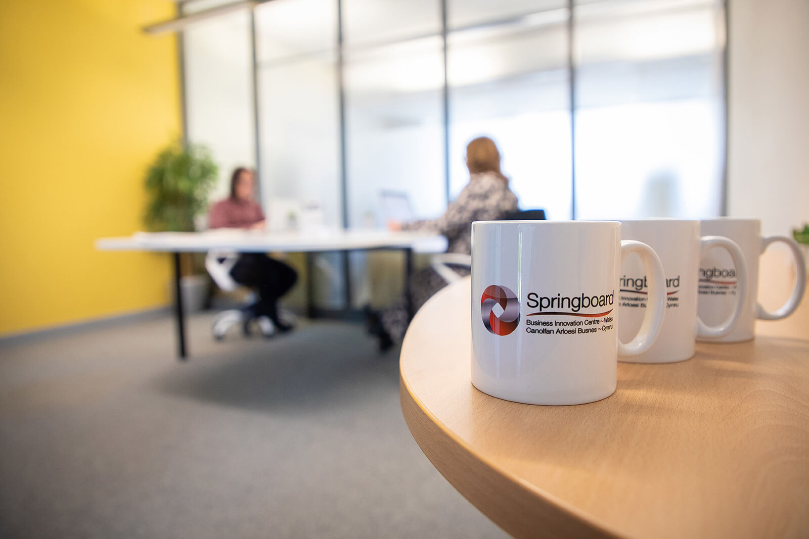 Close up shot of Springboard branded mugs on a table in a meeting room